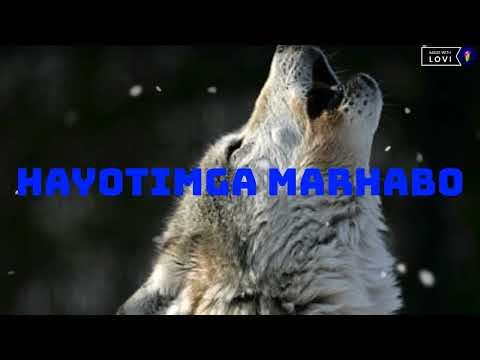 Hayotimga Marhabo 🖤 Firdavs Rep