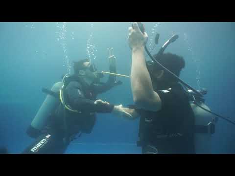 Alternate air source ascent (Neutrally buoyant)