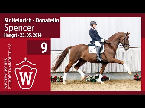 09 Spencer  Hengst v. Sir Heinrich - Donatello