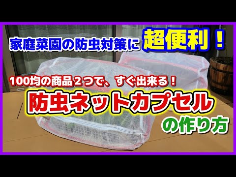サクラバエ(Rhagoletis Cerasi)に対する桜の保護ネットですが、スズキイショウジョウバエにも効果的です