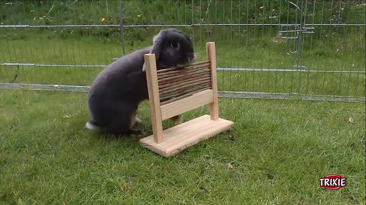 Trixie Agility Set, 2 Stück