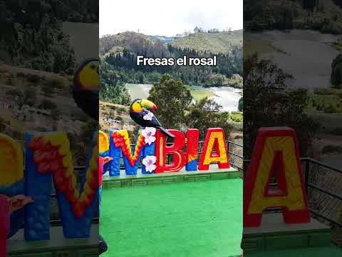 fresas el rosal #colombia 🇨🇴  #cundinamarca #fresas #gaming #fresasconcrema #sibaté #tradiciones