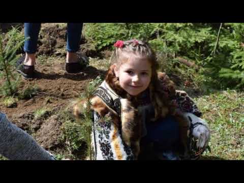 Natura, Suflet si Educatie la Ocolul Silvic Moldovita