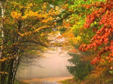 My Choice - Ziehrer: Hereinspaziert  Waltz