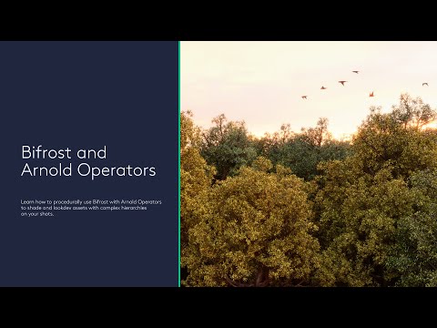 Bifrost Graph and Arnold Operators