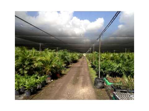 17100 SW 197 AV,Miami,FL 33187 Commercial For Sale