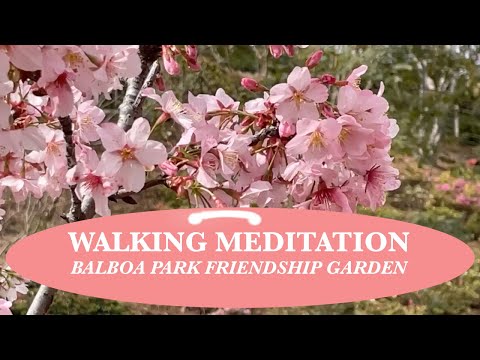 Guided Walking Meditation for Relaxation, Mindfulness, Calming, Balboa Park Friendship Garden