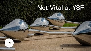 Not Vital at Yorkshire Sculpture Park