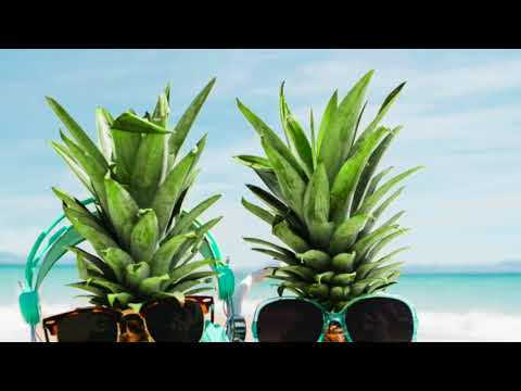 Fm4 Summermixtape Mr.Harvey Miller