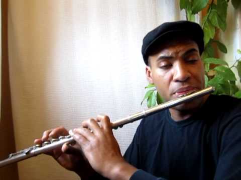 'A Fifth of Beethoven' by Walter Murphy, flute cover by Dameon Locklear