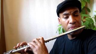 'A Fifth of Beethoven' by Walter Murphy, flute cover by Dameon Locklear