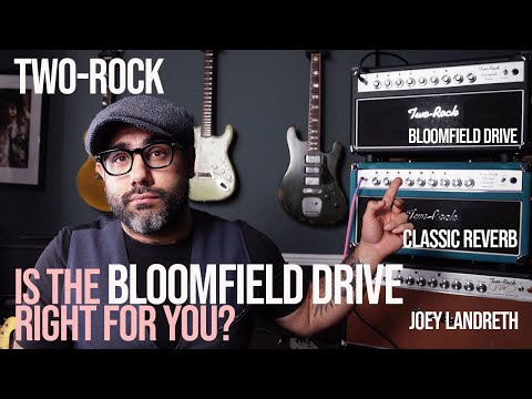 What Does The TWO ROCK Bloomfield Drive Really Sound Like?