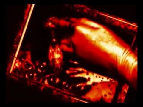 Doɢs Oғ Vєяoňѧ - Luċяєţıѧ Mʏ Rєғʟєċţıoň - Sisters of Mercy cover