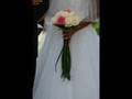 Cayman Islands Wedding