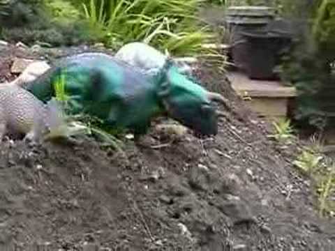 walking with dinosaurs 2