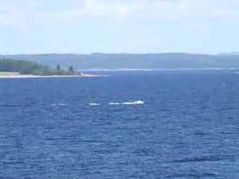 Henrik Zetterberg jetskiing