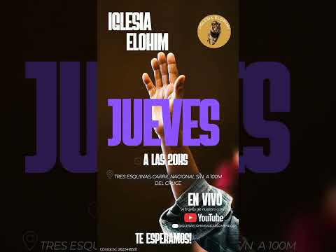 11 de diciembre de 2025