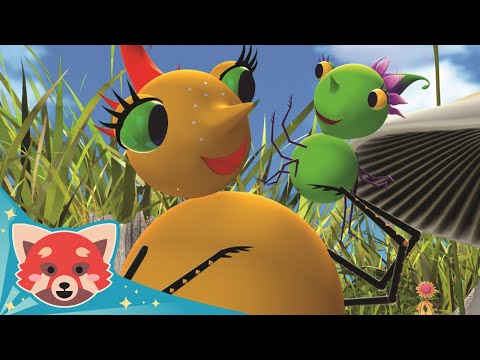 蜘蛛小姐 (Miss Spider): 超过8只脚/蛛妈 - 二十二 (Ep.22)