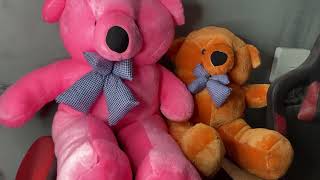 Best Big teddy bear for gift collection l cutprice bd