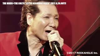 SCARFACE A GO GO (from LITTLE SCARFACE FESTA)