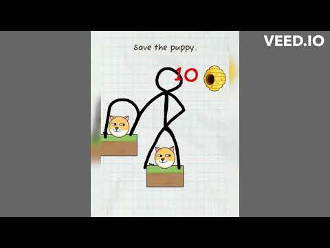 Save the Pet:Dog & Girl Rescue video thumbnail