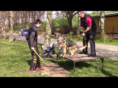 Xara z Jukasu - protection - 28.4.2021