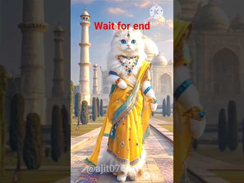 the cat videos #trendingshorts #ajitshort #remix