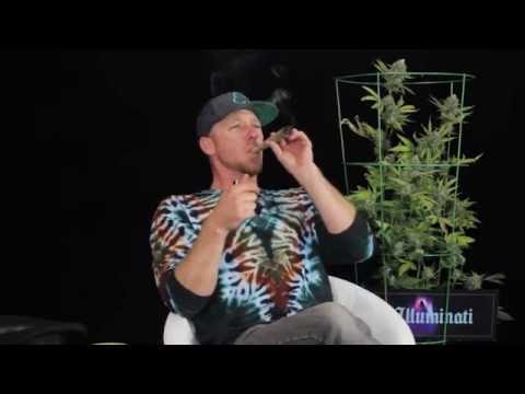 Between Two Strains - Bryan Coast to Coast Collective 2