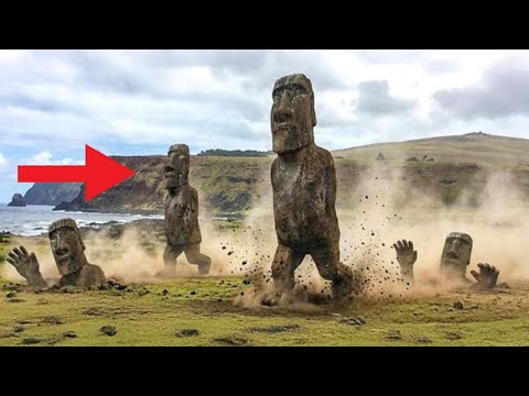 私たちは今、イースター島の像がどのように移動されたかを知っています