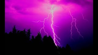 Leo ~ July 15 - 31 (Thank you for being a friend)