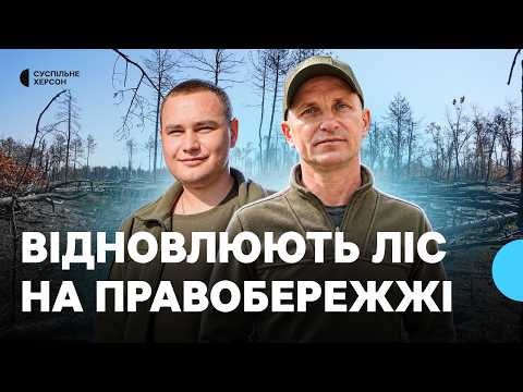 Восстановление лесов под обстрелами: как работают лесники Херсонщины