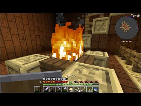 Pinch Beetle Minecraft HC (Twilight Forest)