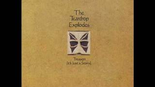 The Teardrop Explodes - Read It in Books (B-Side)