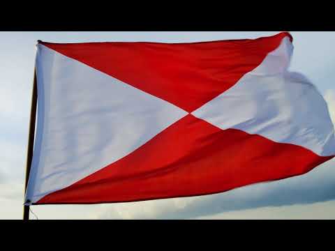 Coke Céspedes - He vuelto a Vigo