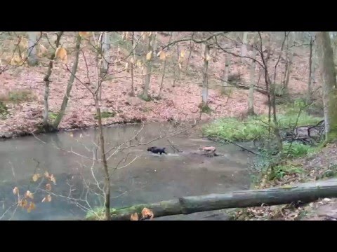 Murphy and Finlay getting wet on an already very wet day
