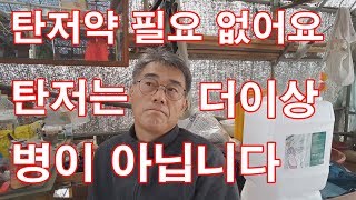 [고추농사]탄저약 필요없어요. 탄저는 더이상 병이 아닙니다.