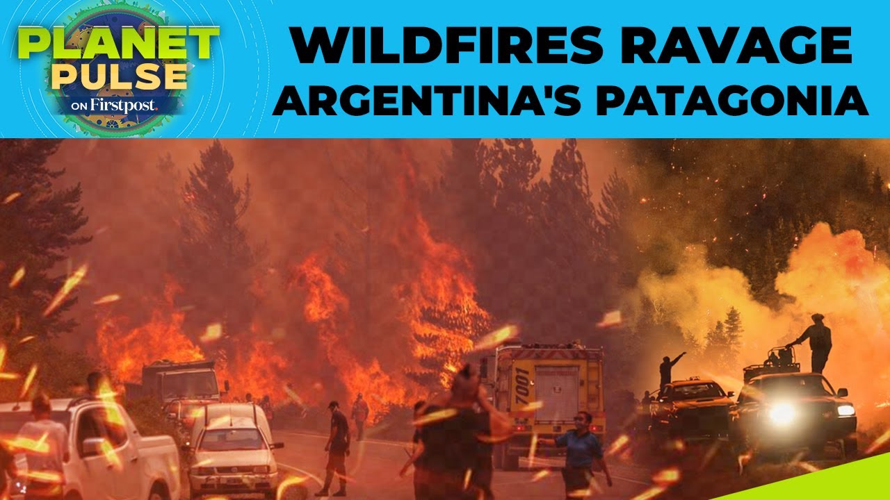 Argentina: Wildfires Burn Over 52,000 Acres in Patagonia, Evacuations Ordered | Planet Pulse