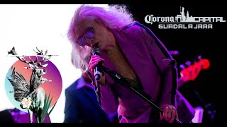 Blondie: Live at the &quot;Corona Capital Festival Guadalajara 2022&quot; - Mexico [Full Show]🎶