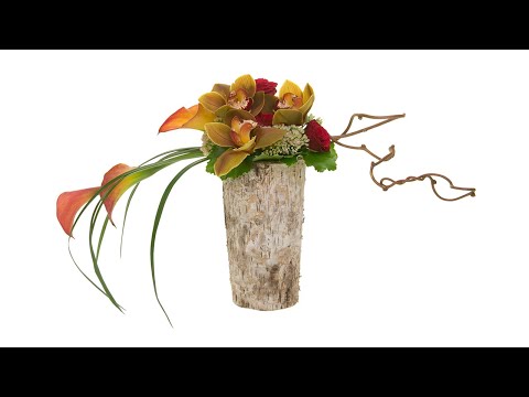 PFDE Prep with Leanne