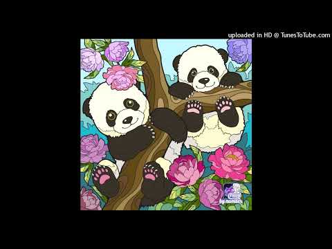 (108) [Debut De Soiree] Nuit De Folie