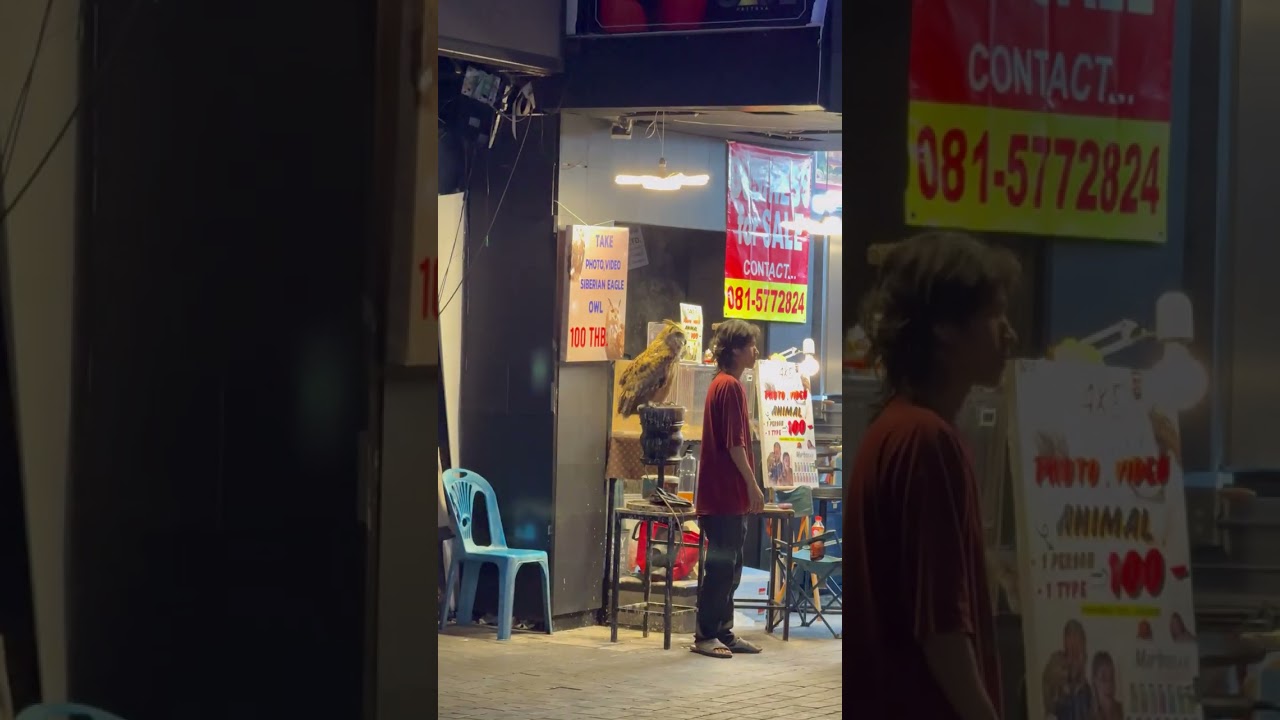 Pattaya City, Thailand 🇹🇭