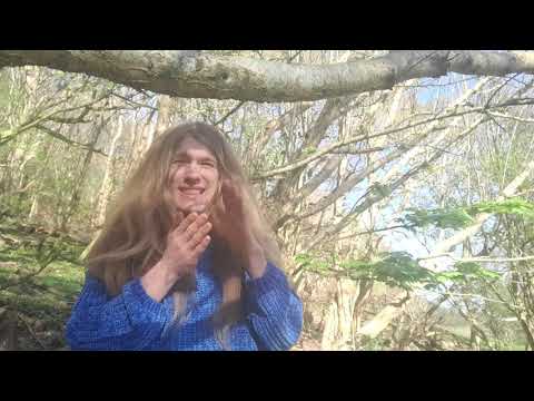 [luka pona] toki musi pi tawa noka: jan ante en soweli ona (nanpa wan)