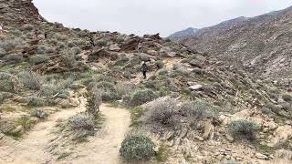 Hiking, Palm Springs