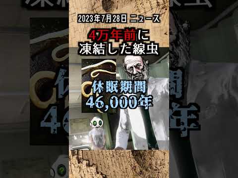 シベリア:これらの生き物は46,000年ぶりに永久凍土から目覚めた