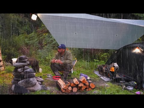 CAMPING in RAIN - Tent - Dog - FIRE