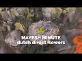 Mayesh Minute Dutch Direct Flowers September 2