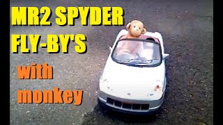 Stuffed monkey behind the wheel of Toyota MR2 Spyder