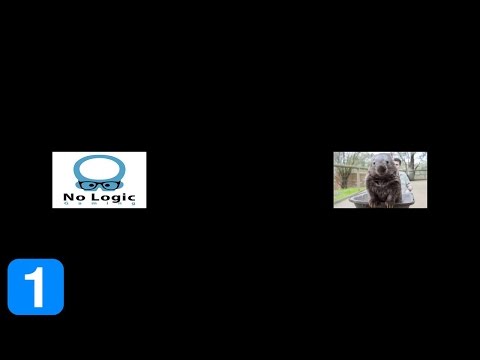 Noo Logic Gaming vs Wombat-Gaming - WePlay League Full Highlights Dota 2