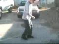 Chicken Dance