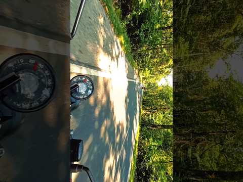 Sikkim Ride Part 19 🌿🍃